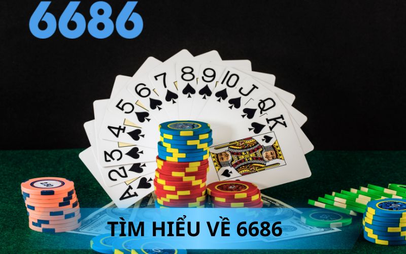 TÌM HIỂU VỀ 6686